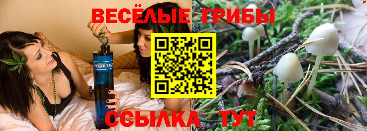 Псилоцибиновые грибы Psilocybine cubensis Балашиха