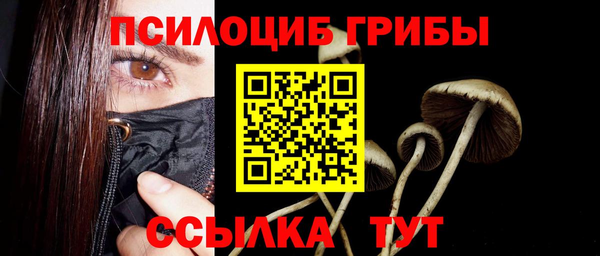 Балашиха  Галлюциногенные грибы Psilocybe  Вход с VPN  Псилоцибиновые грибы Magic Shrooms 
